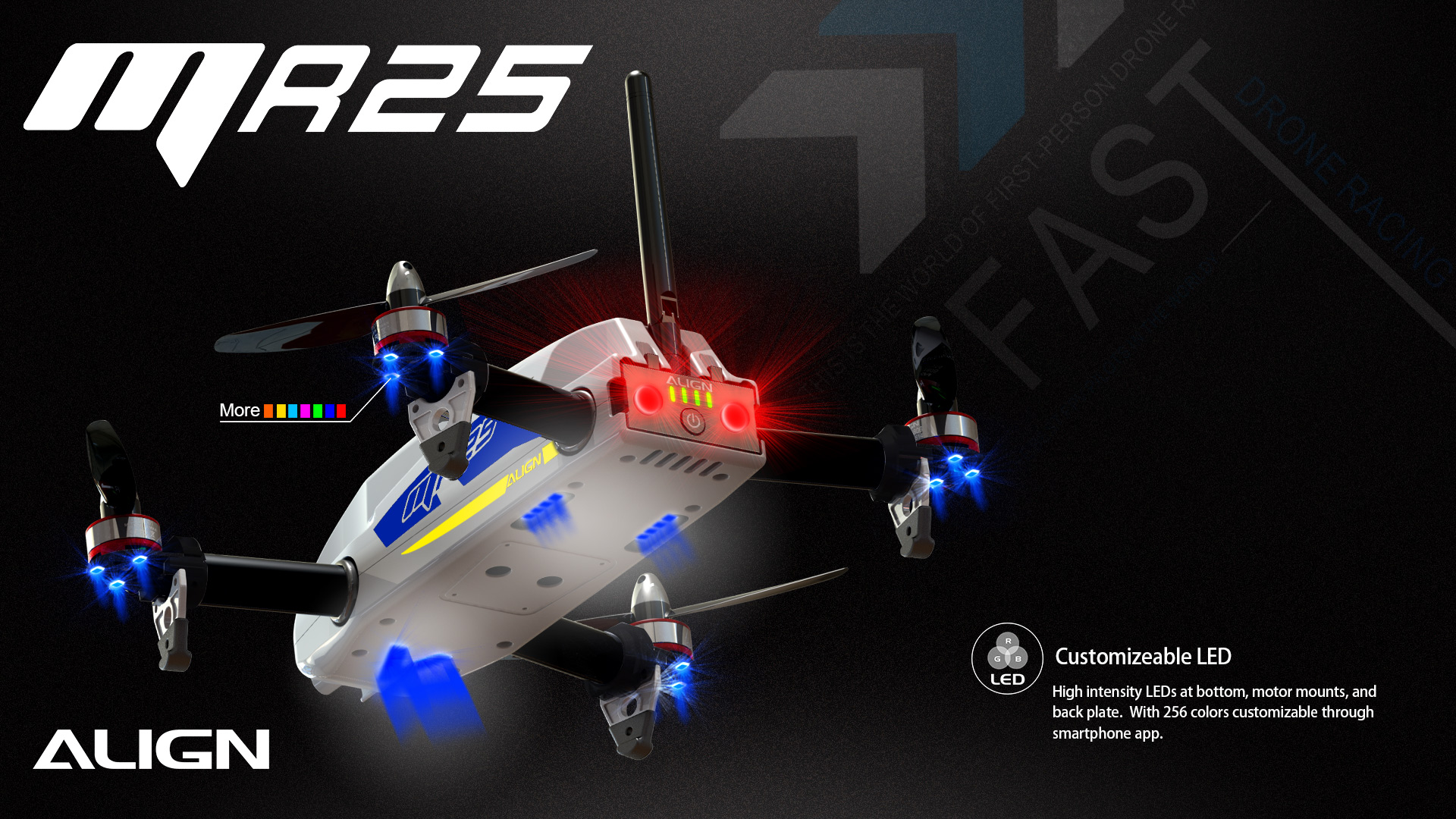 MR25FocusShots-E-003
