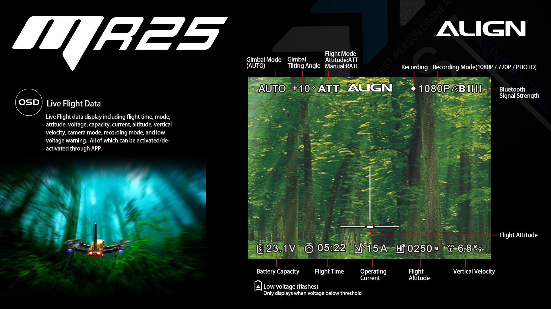 MR25FocusShots-E-005