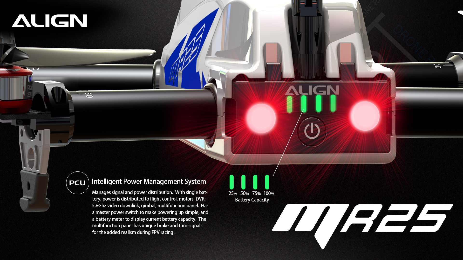MR25FocusShots-E-010