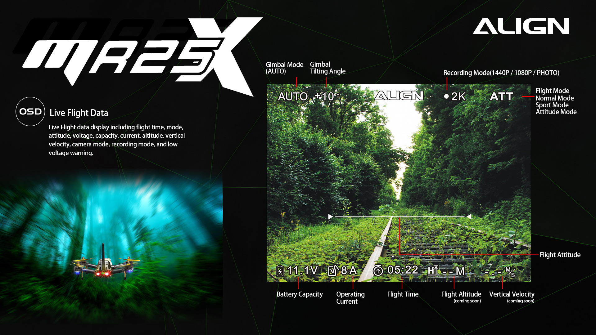 MR25X-Focus-Shots-10
